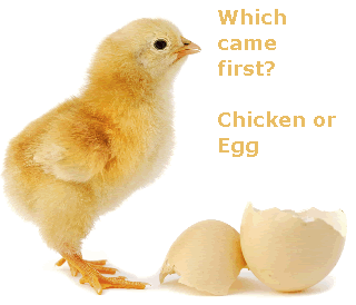 Chicken Egg Cell Structure
