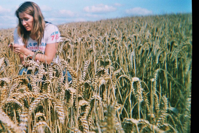 Children Of The Corn 1