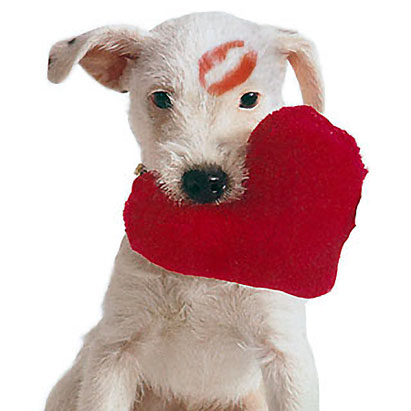 Pics Valentines Day