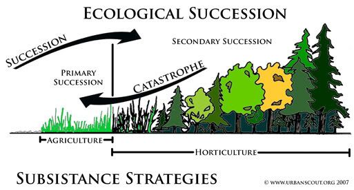 What Is Climax Community In Ecology